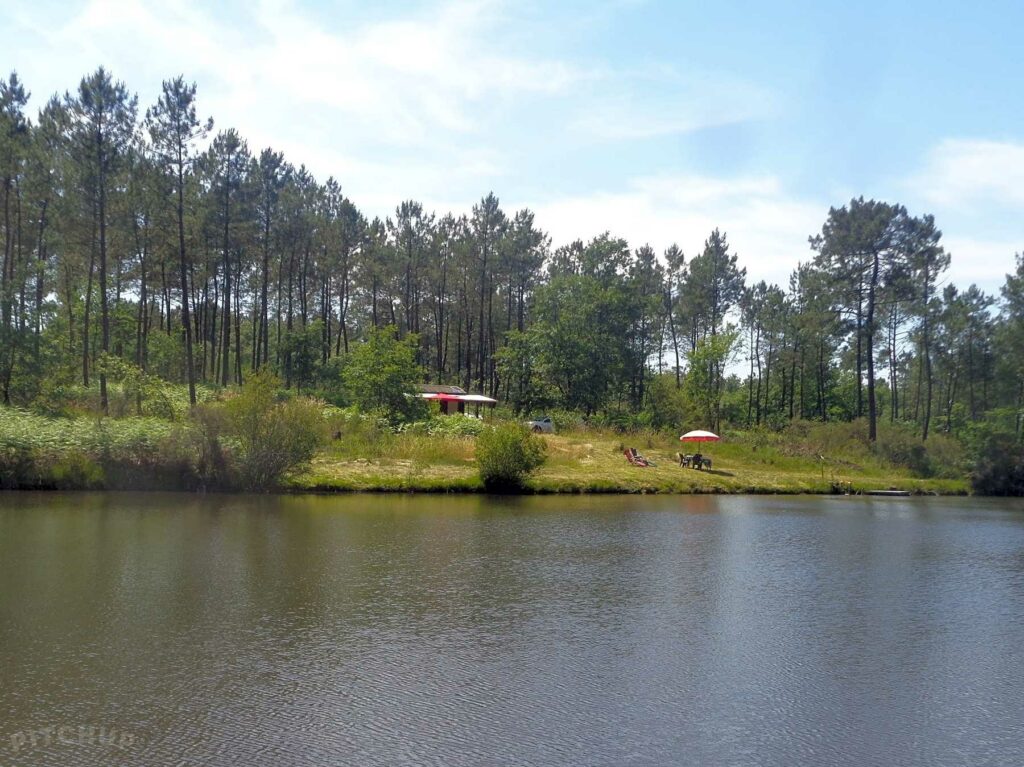 Cuckoo Lake