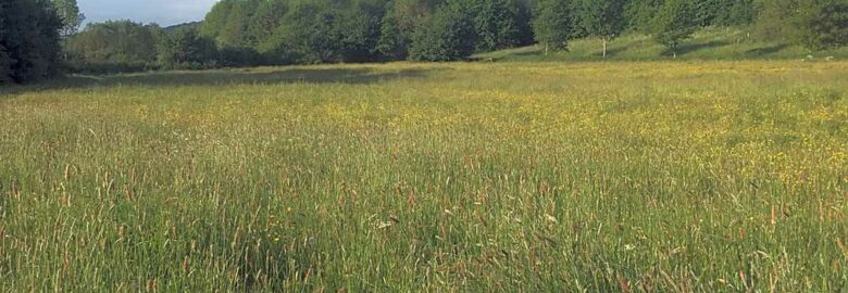Shropshire Hills Discovery Centre