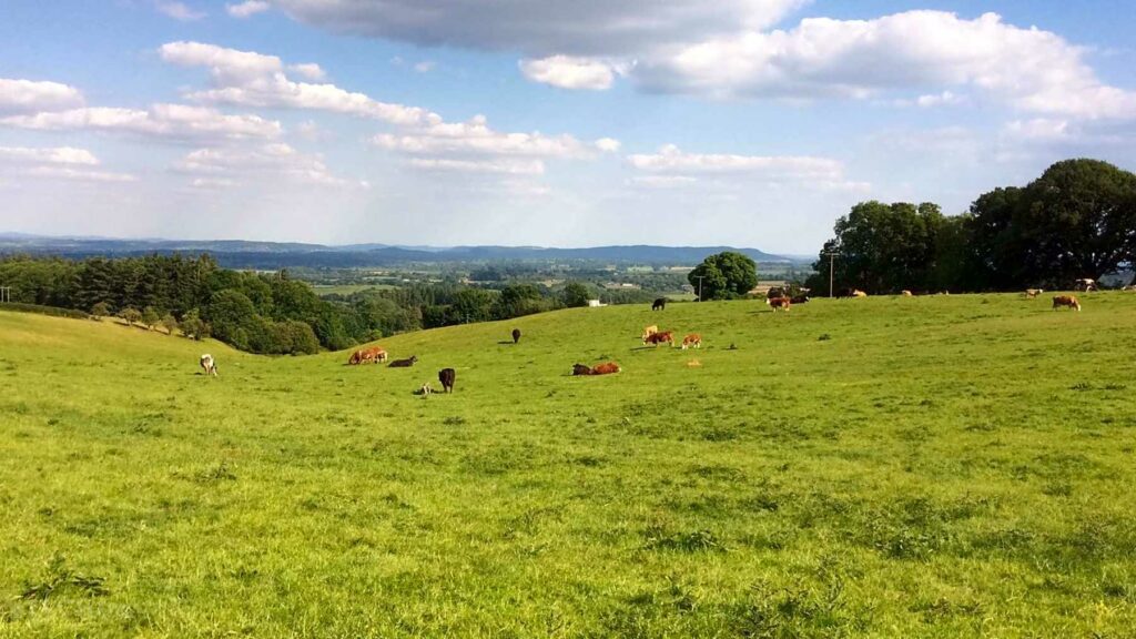 Oatcroft