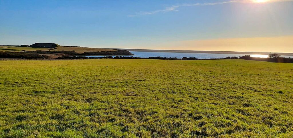 Seaview Farm