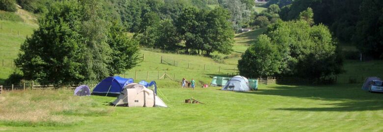Willow Stream Camping