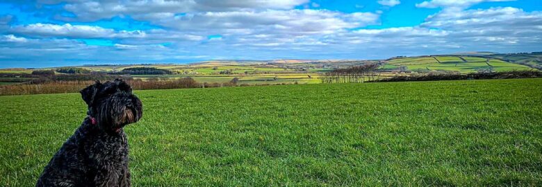 White Causey Farm