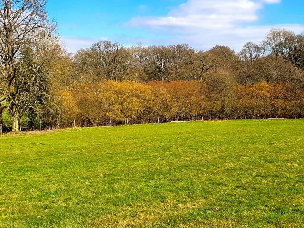 Vann Farm Camping