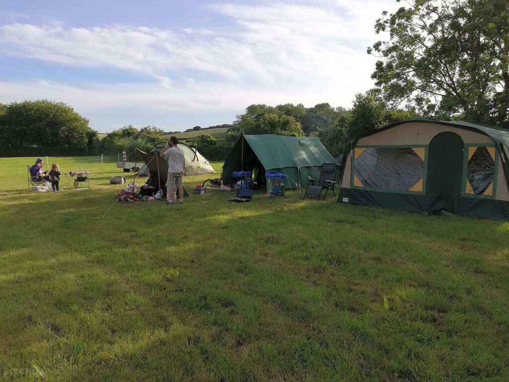 Jurassic Camp