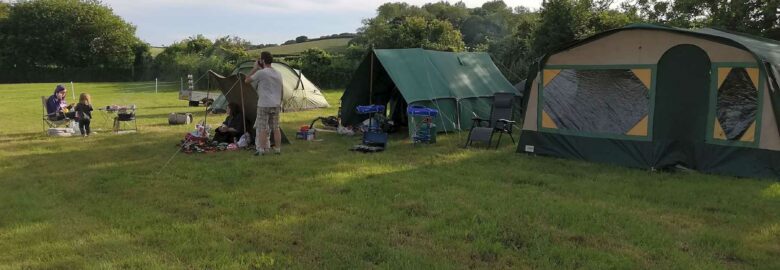 Jurassic Camp
