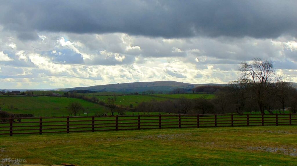 Manor House Farm Park
