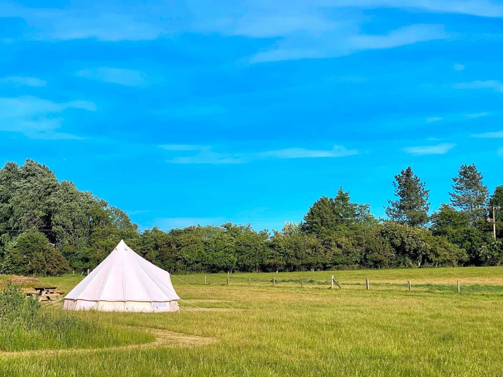 Walltree House Camping