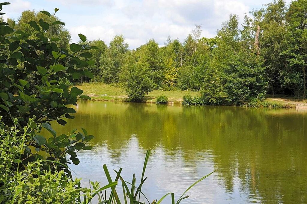 Wylands Angling Centre