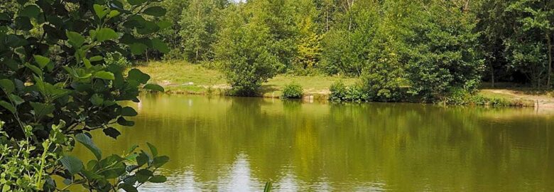 Wylands Angling Centre
