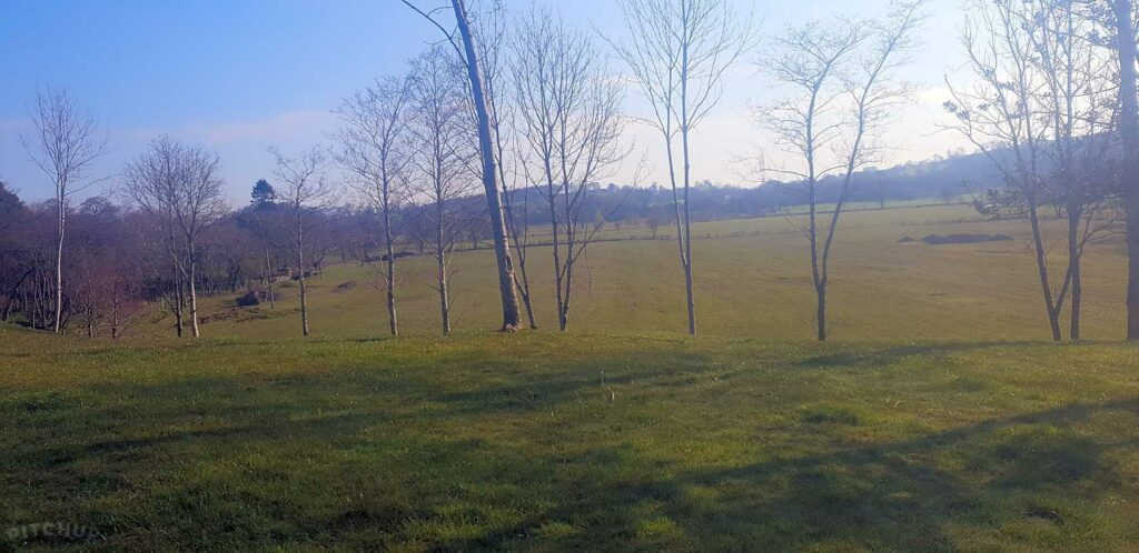Bow Laithe Caravan Site