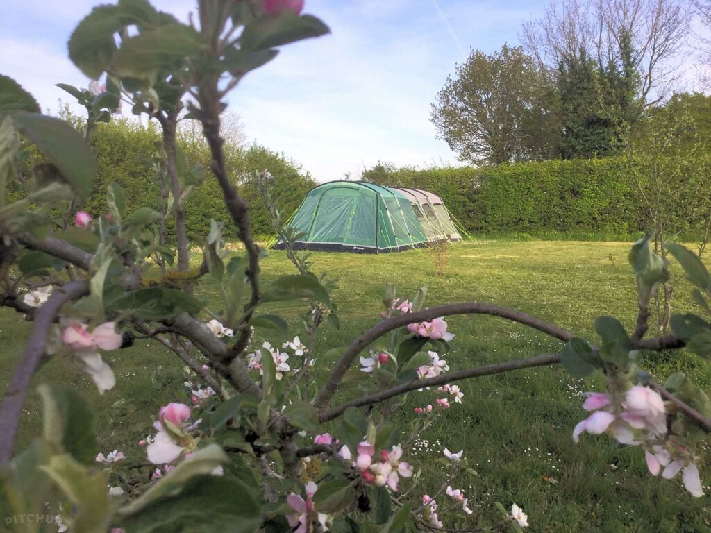 Le Jardin de Rose