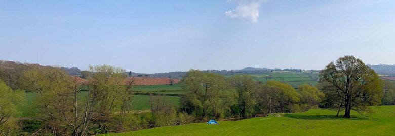 Orleton Court Farm