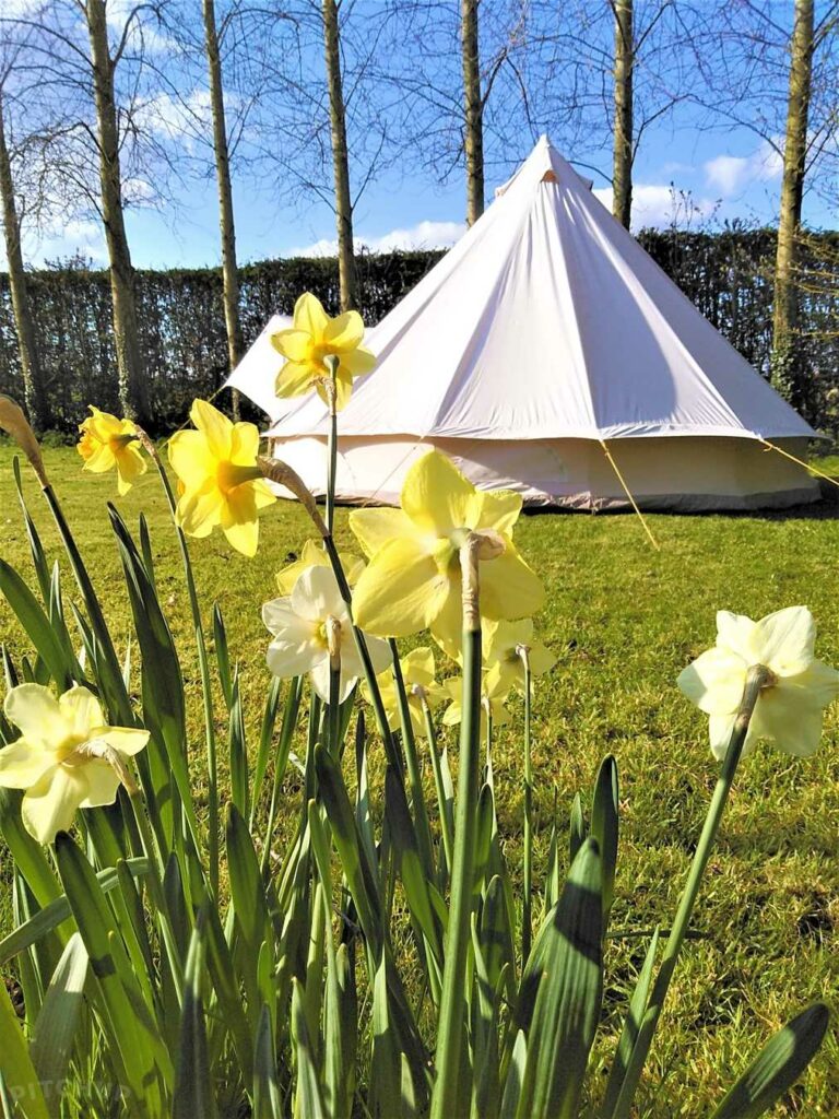 Brakehill Lodge Farm
