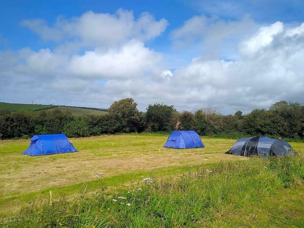 Proper Camping