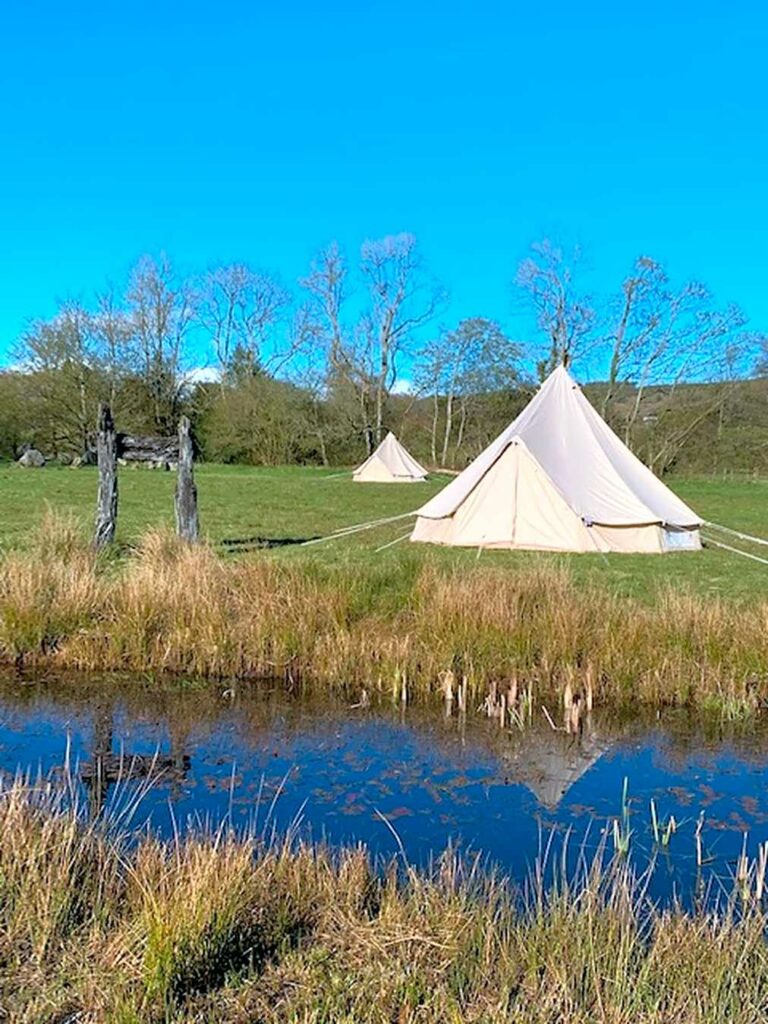 Wildlife Glamping