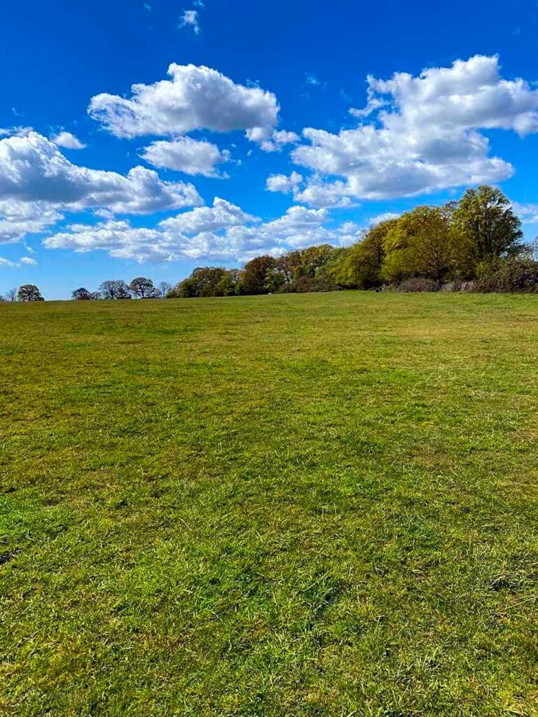 Setts Wood Camping and Glamping