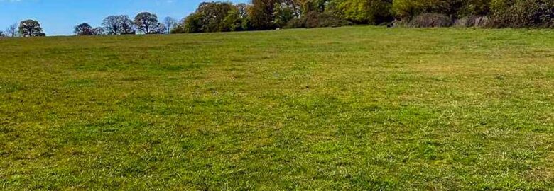 Setts Wood Camping and Glamping