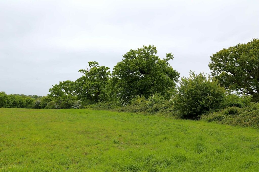Beetlebank Farm Wild Camping