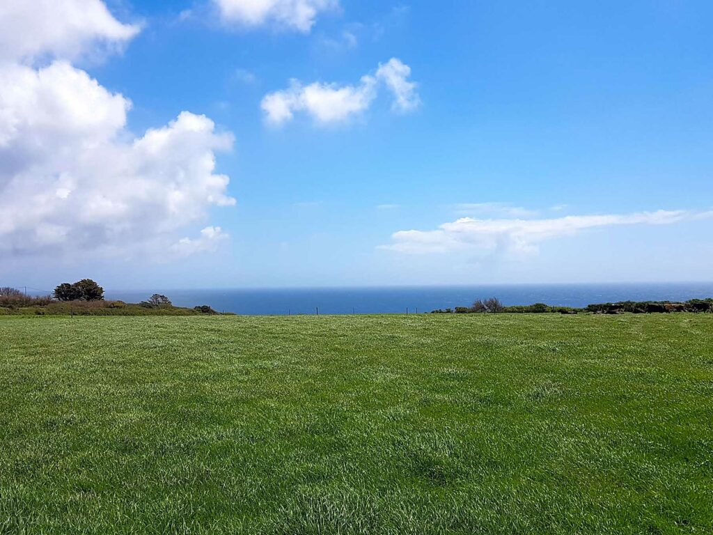 Cadgwith Camping
