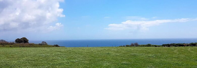 Cadgwith Camping