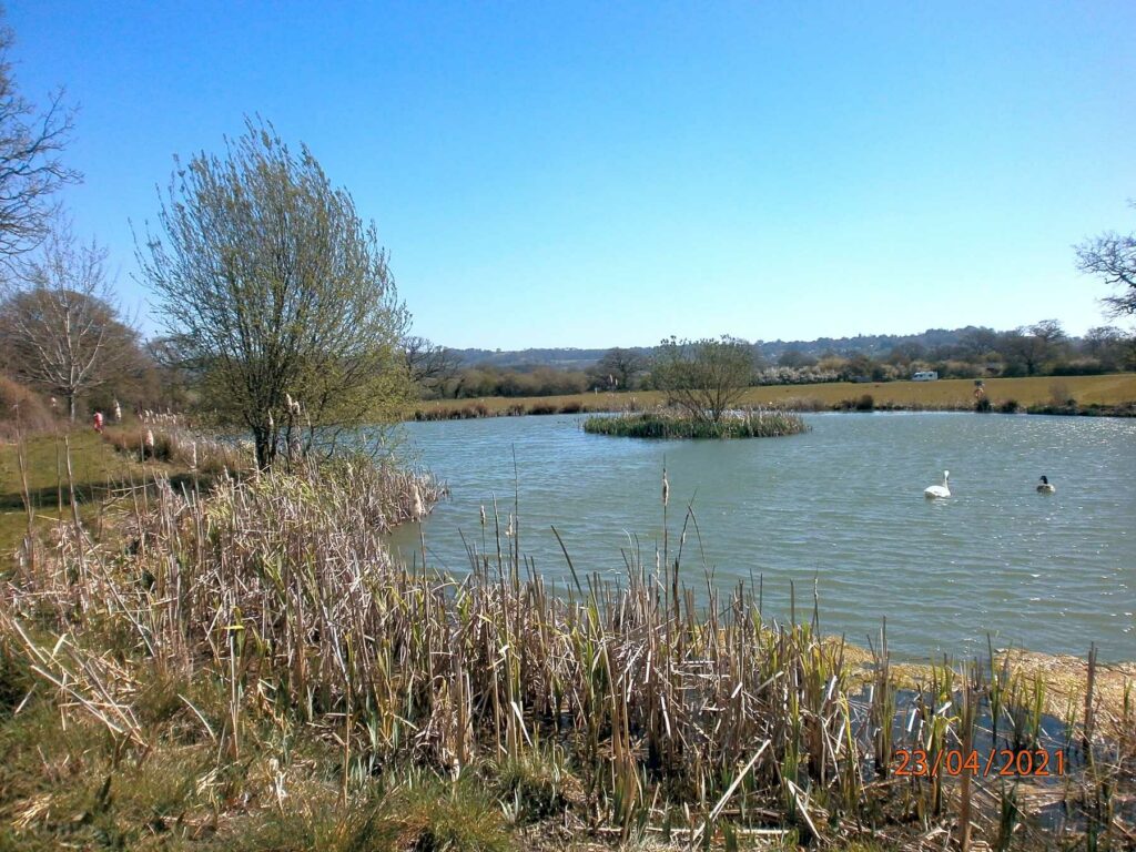 Shaftesbury Country Touring Park
