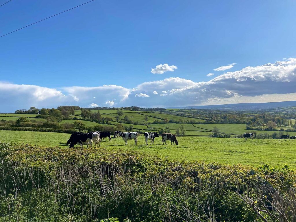 Toghill House Farm
