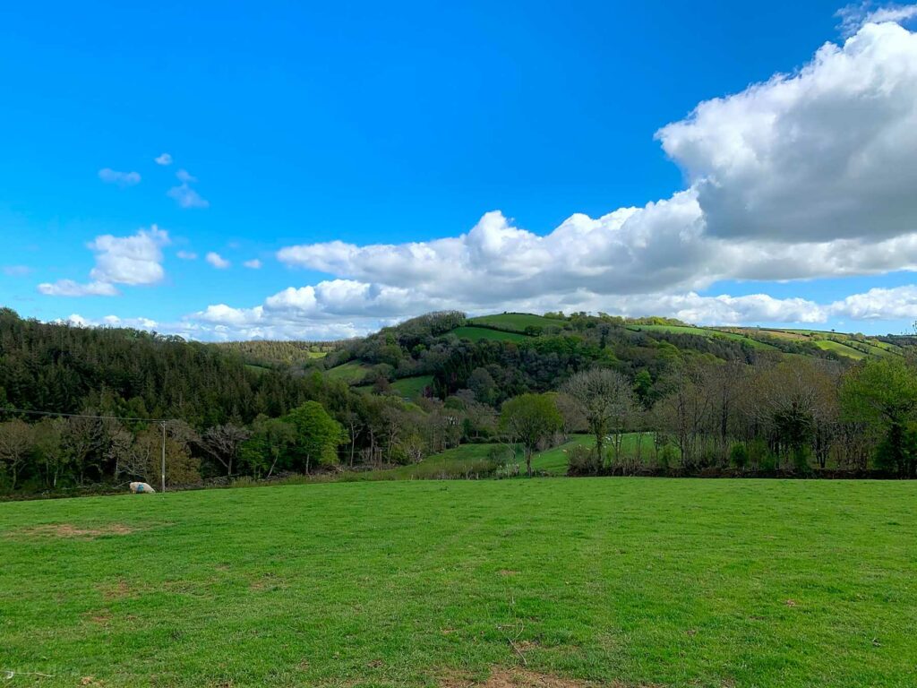 Hazelwood View