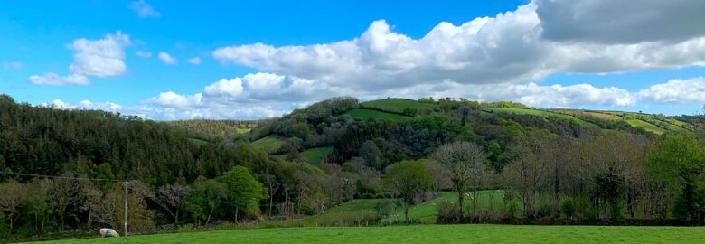 Hazelwood View