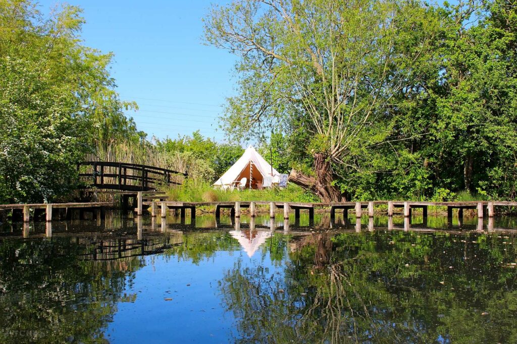 The Reed Bed