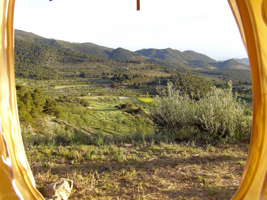 Buena Vista