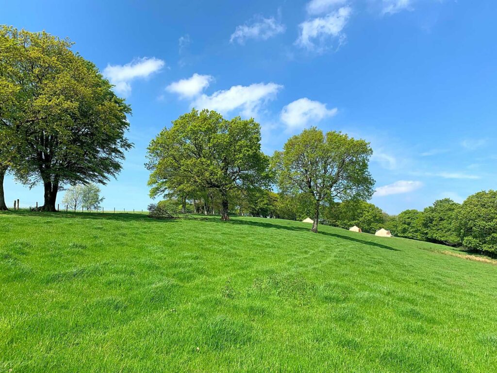 Sydeham Farm Glamping