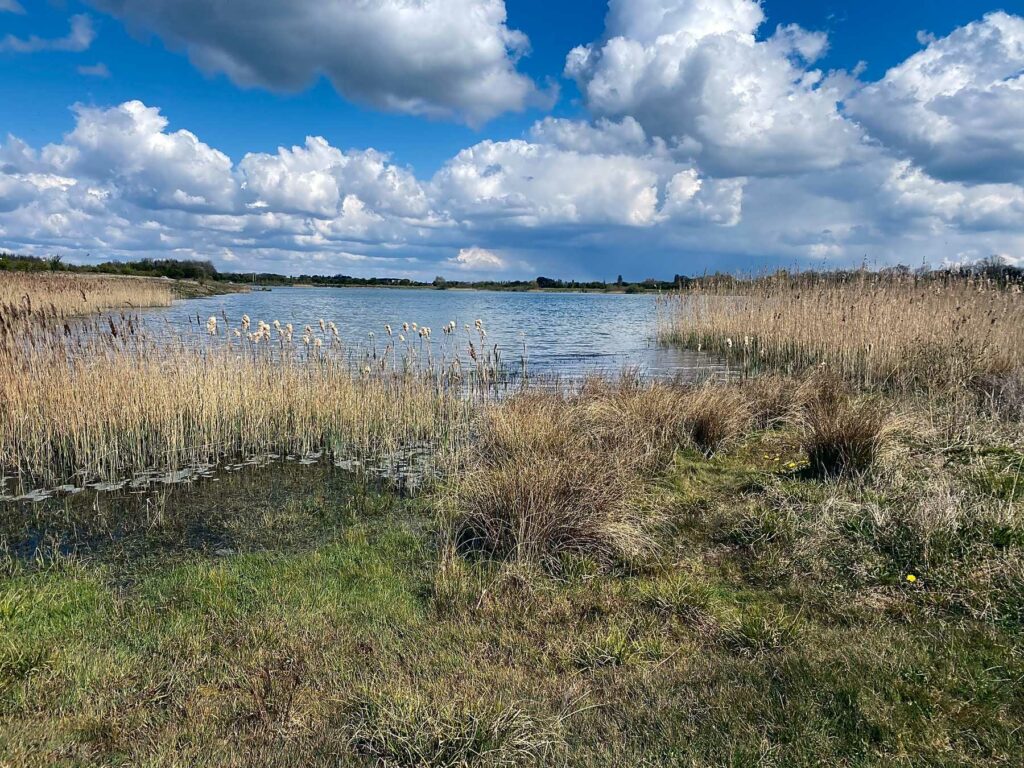 Belvoir Waters