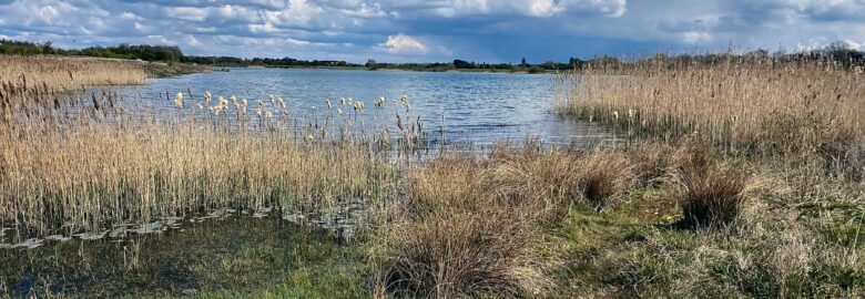 Belvoir Waters