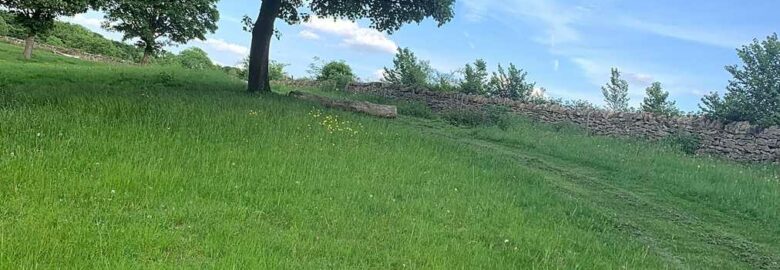 The Bunker