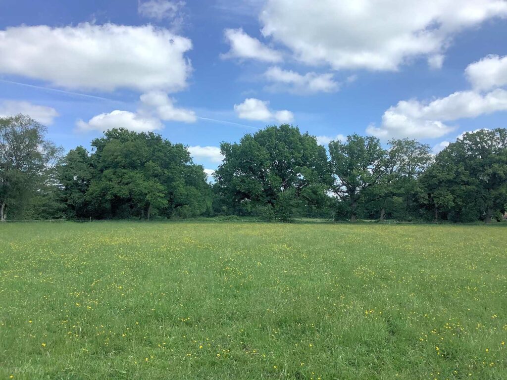 Station Farm