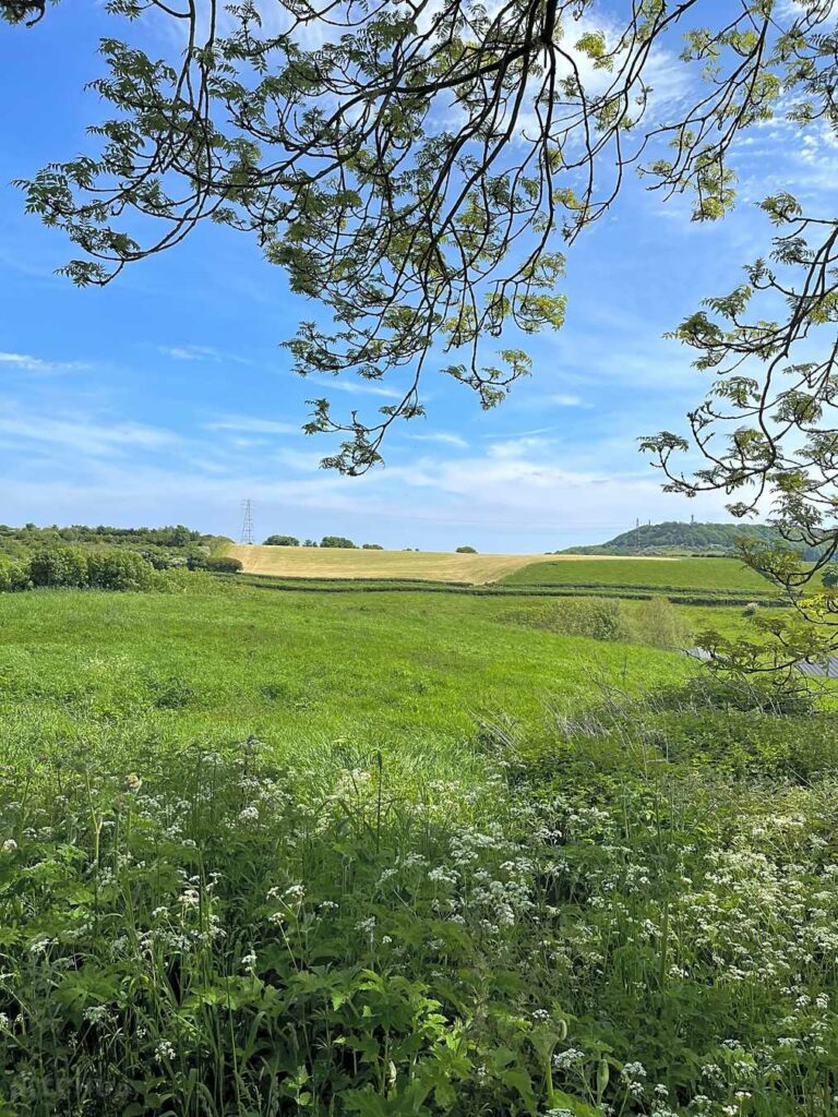 Sandy Bed Lane Campsite