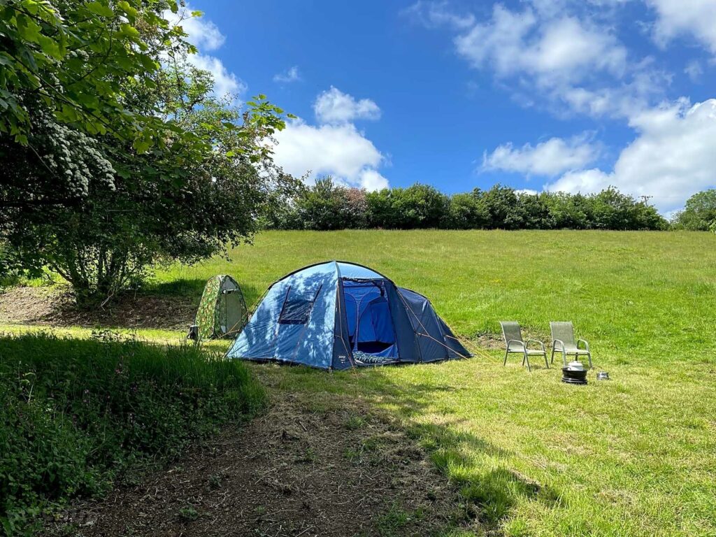 Camp Wild at Burrow Hill Farm