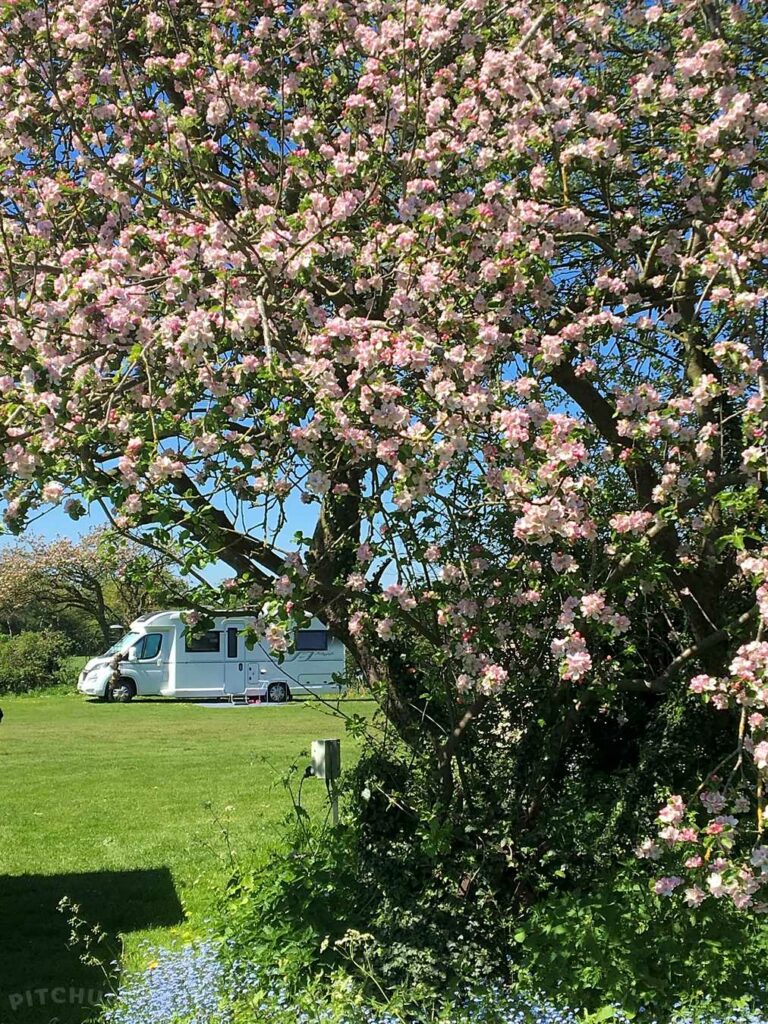 Rectory Farm Fishing and Camping Site