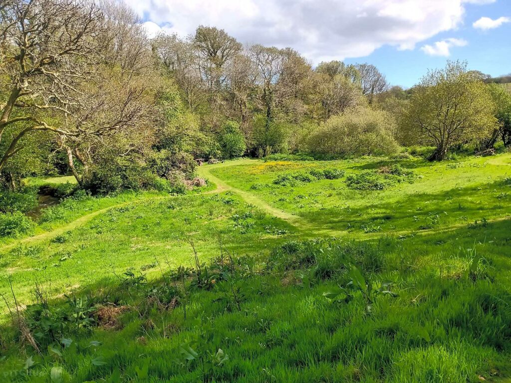 Allerbrook Meadows