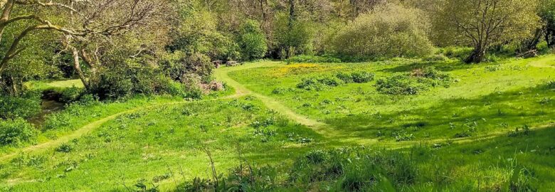 Allerbrook Meadows