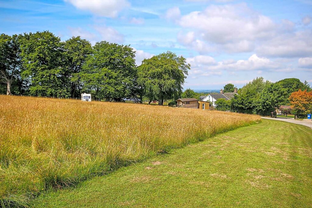 Wallace Lane Farm