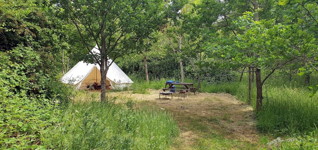 Dorothy Goes Glamping