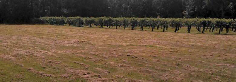 Frittenden Orchard