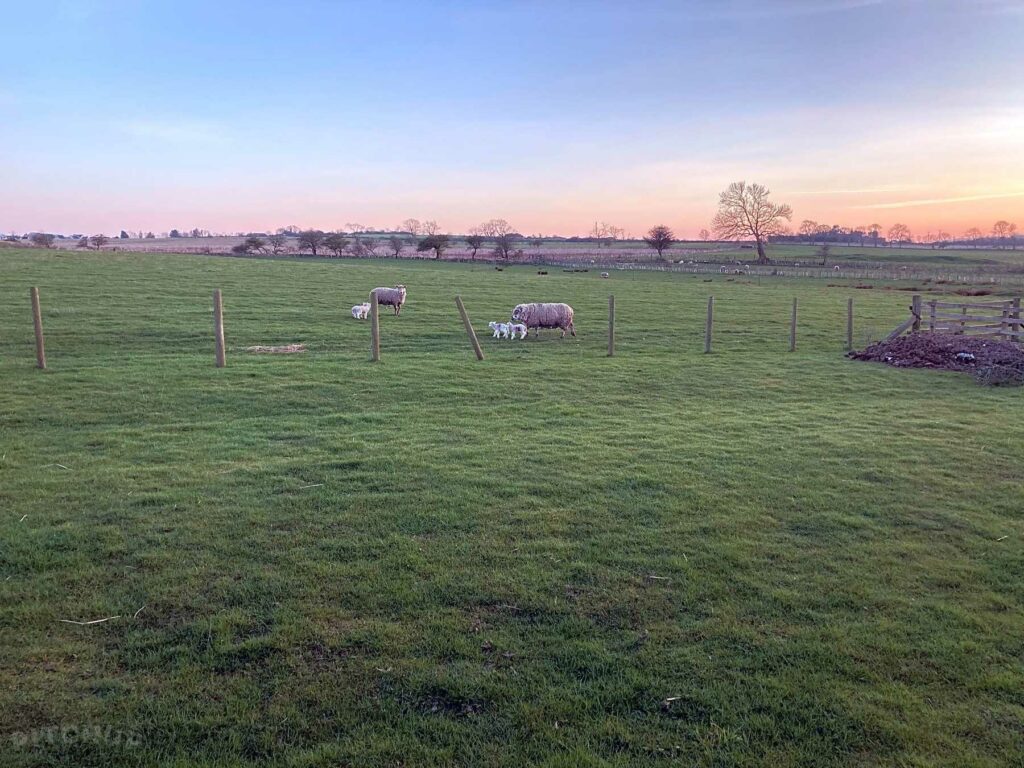 Christmas Farm