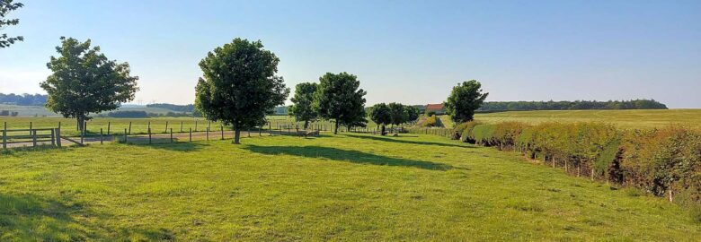 Gallowmoor Farm Campsite