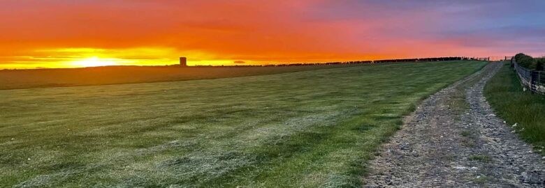 Elwick Campsite