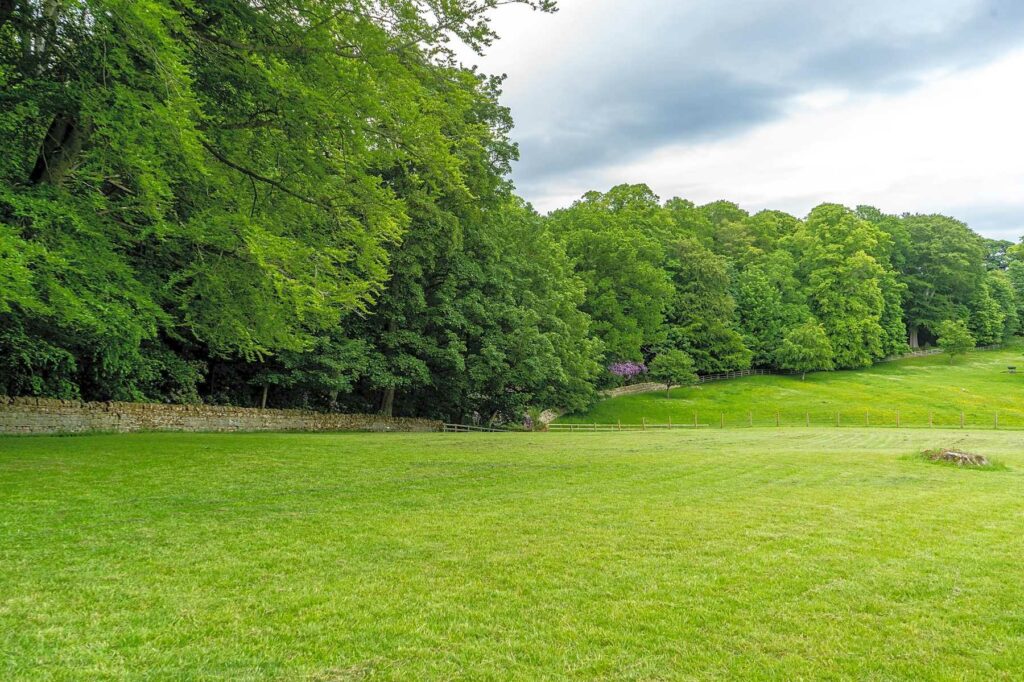 Bolam Lake Camping Paddock