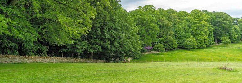 Bolam Lake Camping Paddock