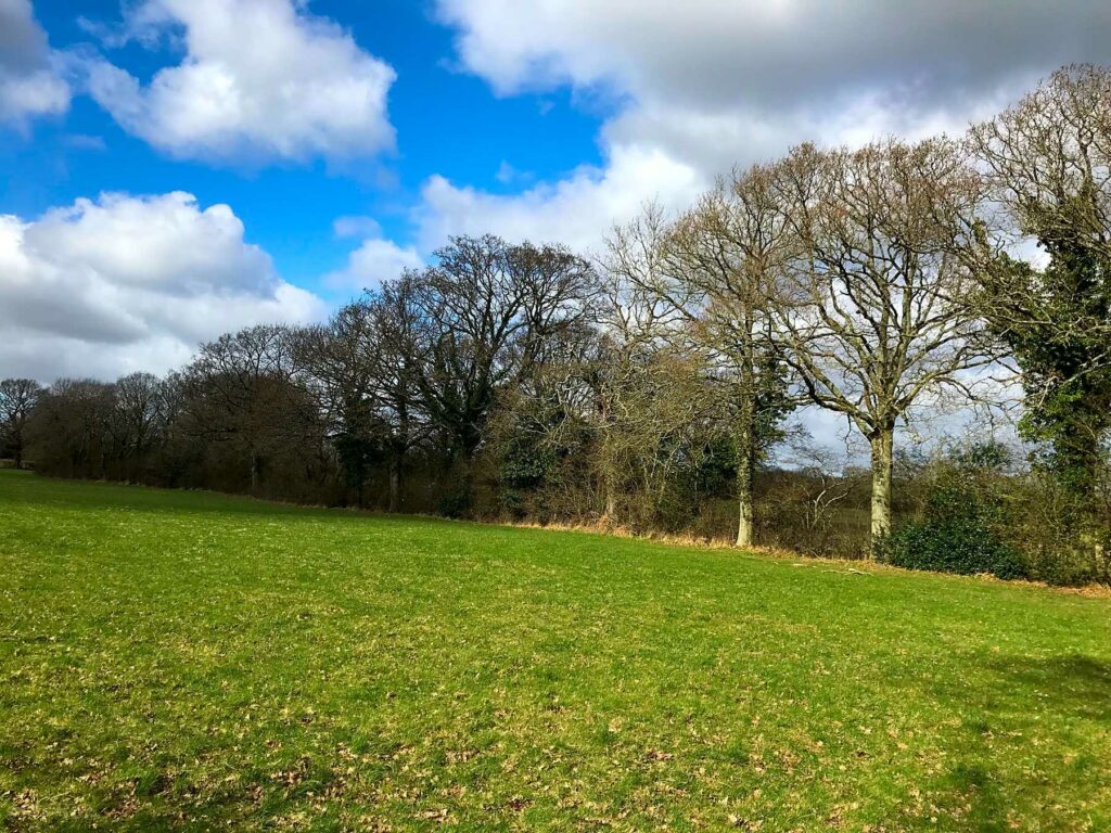 Cattlestone Farm