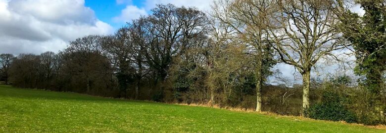 Cattlestone Farm